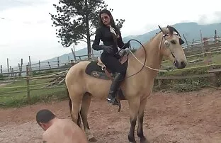 XXX მოყვარული,, დიდი შონ კოდა უფასო მკერდი